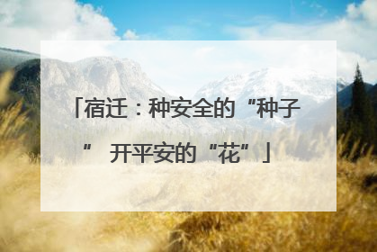 宿迁：种安全的“种子” 开平安的“花”