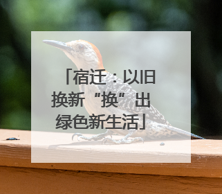宿迁：以旧换新“换”出绿色新生活