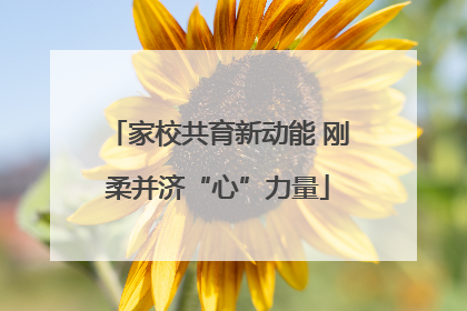 家校共育新动能 刚柔并济“心”力量
