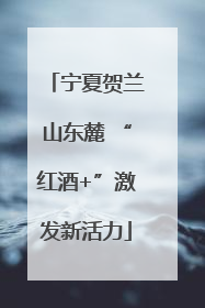 宁夏贺兰山东麓 “红酒+”激发新活力