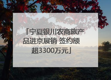 宁夏银川农商旅产品进京展销 签约额超3300万元