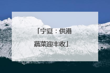 宁夏：供港蔬菜迎丰收