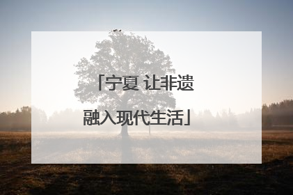 宁夏 让非遗融入现代生活