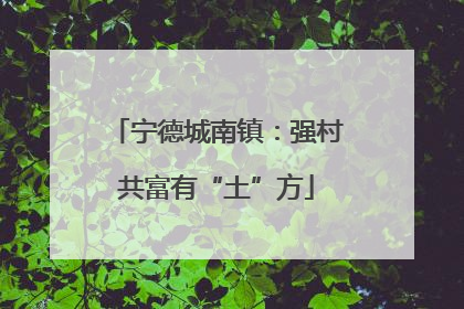 宁德城南镇：强村共富有“土”方