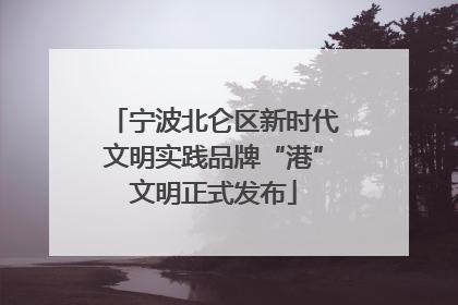 宁波北仑区新时代文明实践品牌“港”文明正式发布