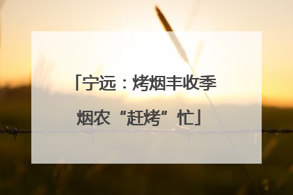 宁远：烤烟丰收季 烟农“赶烤”忙