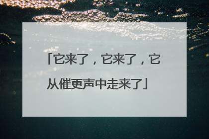 它来了，它来了，它从催更声中走来了