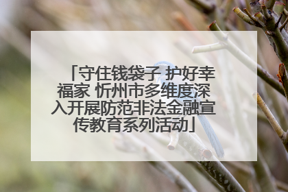 守住钱袋子 护好幸福家 忻州市多维度深入开展防范非法金融宣传教育系列活动