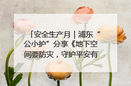 安全生产月｜浦东“公小护”分享《地下空间要防灾，守护平安有我在》安全谣
