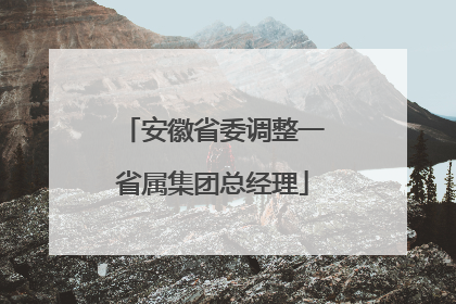 安徽省委调整一省属集团总经理