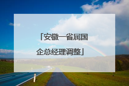安徽一省属国企总经理调整