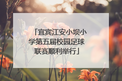 宜宾江安小坝小学第五届校园足球联赛顺利举行