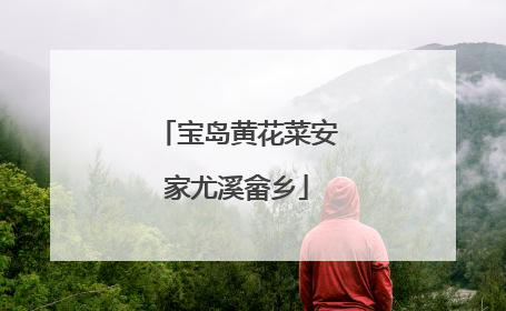 宝岛黄花菜安家尤溪畲乡