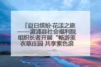 夏日缤纷·花漾之旅——溆浦县社会福利院组织长者开展“畅游薰衣草庄园 共享紫色浪漫”户外活动