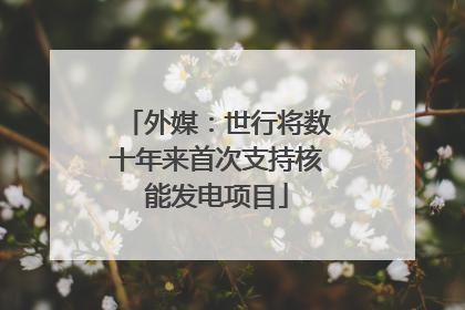 外媒：世行将数十年来首次支持核能发电项目