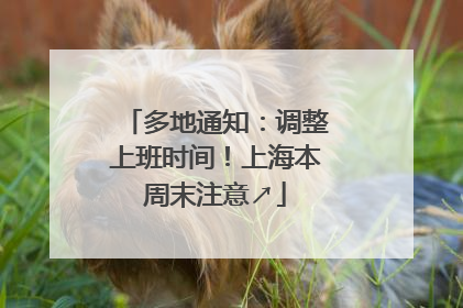 多地通知：调整上班时间！上海本周末注意↗