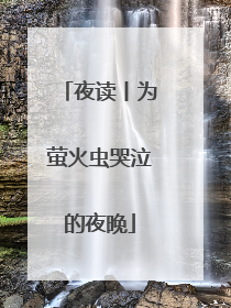夜读丨为萤火虫哭泣的夜晚