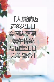 大熊猫迈迈8岁生日会圆满落幕 端午传统与国宝生日完美融合