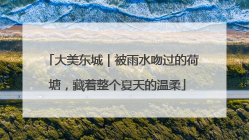 大美东城｜被雨水吻过的荷塘，藏着整个夏天的温柔