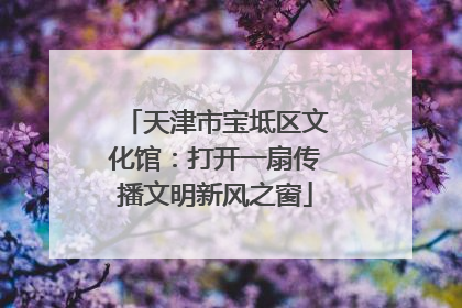 天津市宝坻区文化馆：打开一扇传播文明新风之窗
