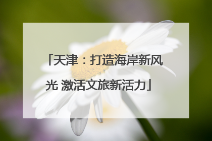 天津：打造海岸新风光 激活文旅新活力