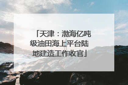 天津：渤海亿吨级油田海上平台陆地建造工作收官