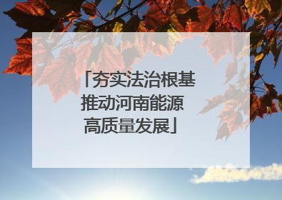 夯实法治根基 推动河南能源高质量发展