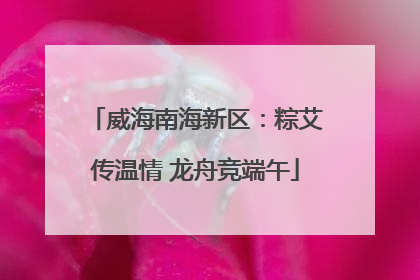 威海南海新区：粽艾传温情 龙舟竞端午