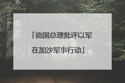 德国总理批评以军在加沙军事行动