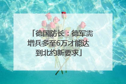 德国防长：德军需增兵多至6万才能达到北约新要求