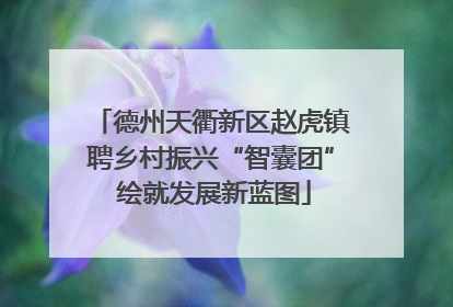 德州天衢新区赵虎镇聘乡村振兴“智囊团” 绘就发展新蓝图