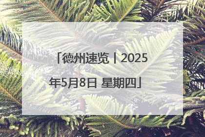 德州速览丨2025年5月8日 星期四