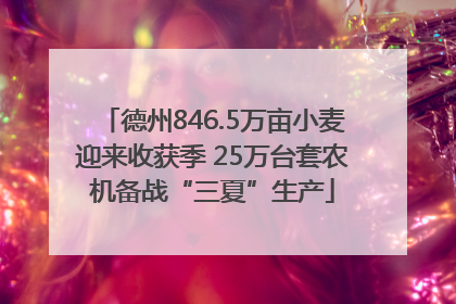 德州846.5万亩小麦迎来收获季 25万台套农机备战“三夏”生产