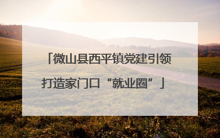 微山县西平镇党建引领打造家门口“就业圈”