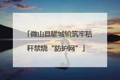 微山县驩城镇筑牢秸秆禁烧“防护网”