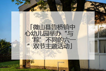 微山县鲁桥镇中心幼儿园举办“与‘粽’不同的六一”双节主题活动