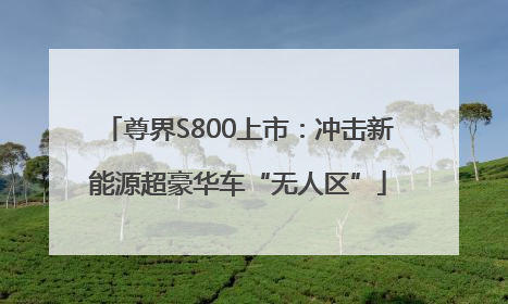 尊界S800上市：冲击新能源超豪华车“无人区”