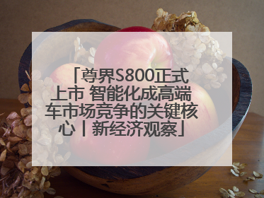 尊界S800正式上市 智能化成高端车市场竞争的关键核心丨新经济观察