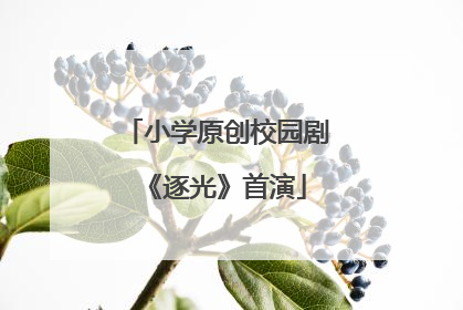 小学原创校园剧《逐光》首演