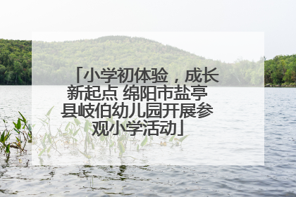 小学初体验，成长新起点 绵阳市盐亭县岐伯幼儿园开展参观小学活动