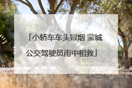 小轿车车头冒烟 蒙城公交驾驶员雨中相救