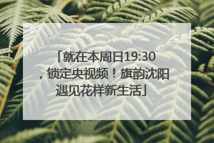 就在本周日19:30，锁定央视频！旗韵沈阳 遇见花样新生活