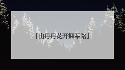 山丹丹花开拥军路