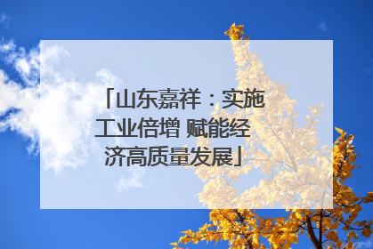 山东嘉祥：实施工业倍增 赋能经济高质量发展