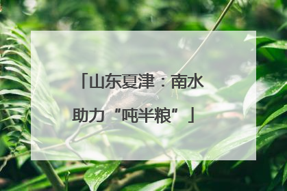 山东夏津：南水助力“吨半粮”