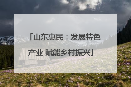 山东惠民：发展特色产业 赋能乡村振兴
