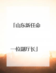 山东新任命一位副厅长