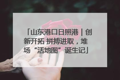 山东港口日照港｜创新开拓 拼搏进取，堆场“活地图”诞生记
