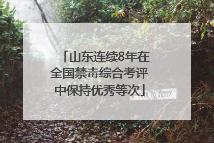 山东连续8年在全国禁毒综合考评中保持优秀等次