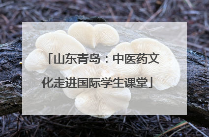 山东青岛：中医药文化走进国际学生课堂